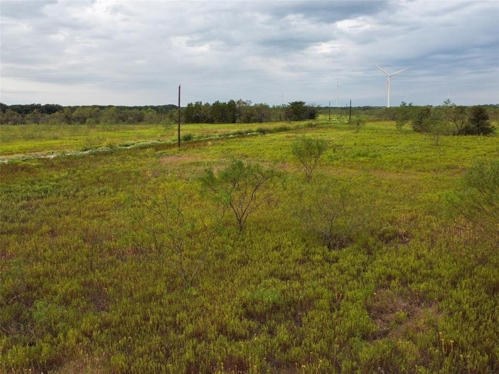 10.01 acres in Hill County - photo 6