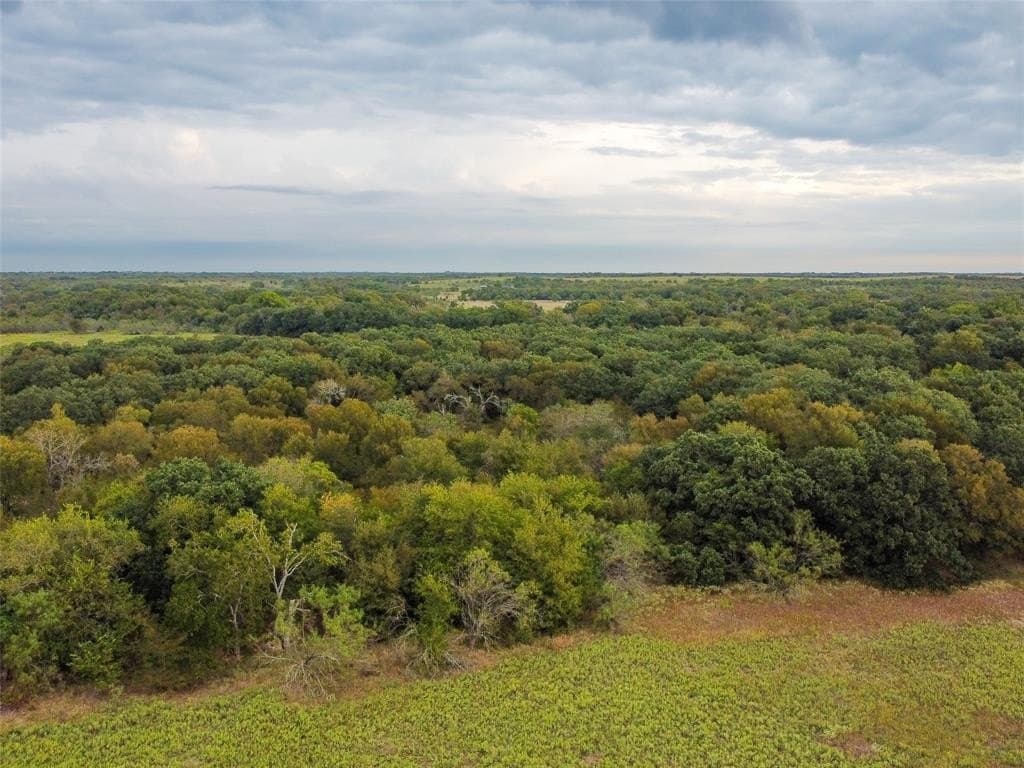 10.01 acres in Hill County - photo 25