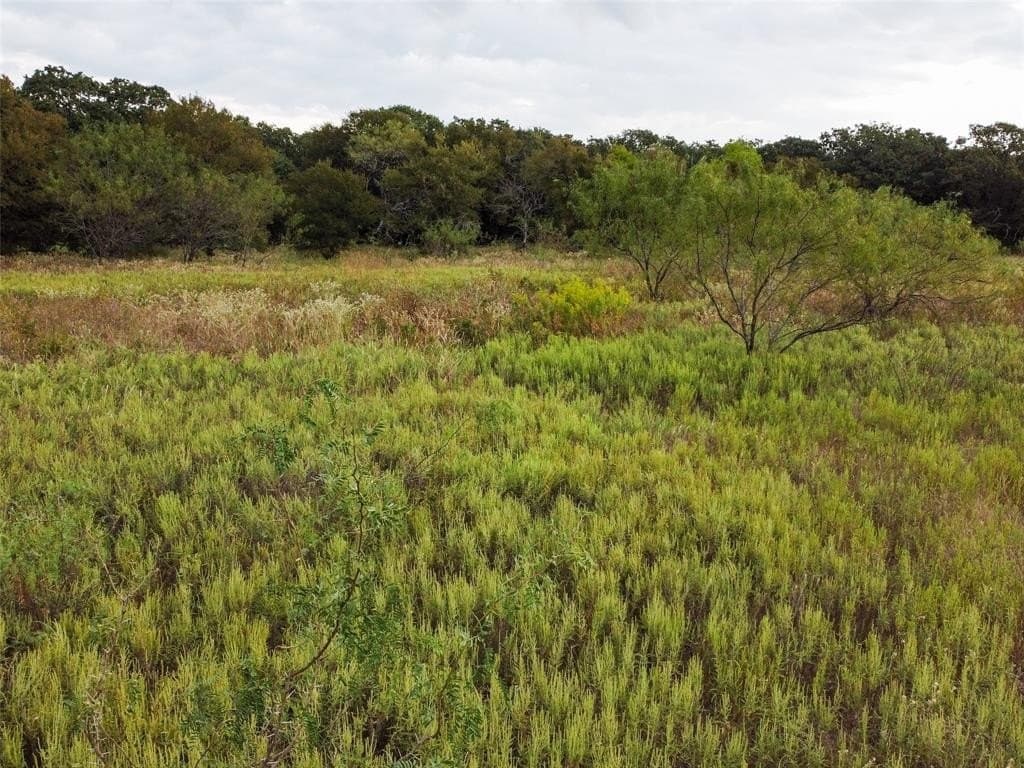 10.01 acres in Hill County - photo 26