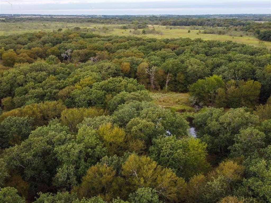 10.01 acres in Hill County - photo 21
