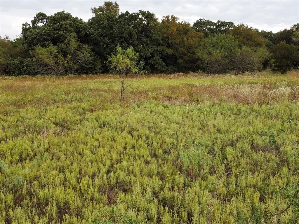 10.01 acres in Hill County - photo 22