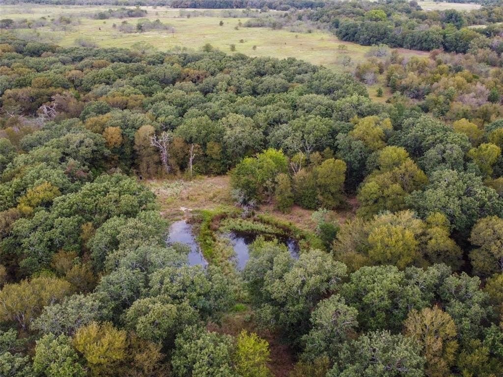 10.01 acres in Hill County - photo 11