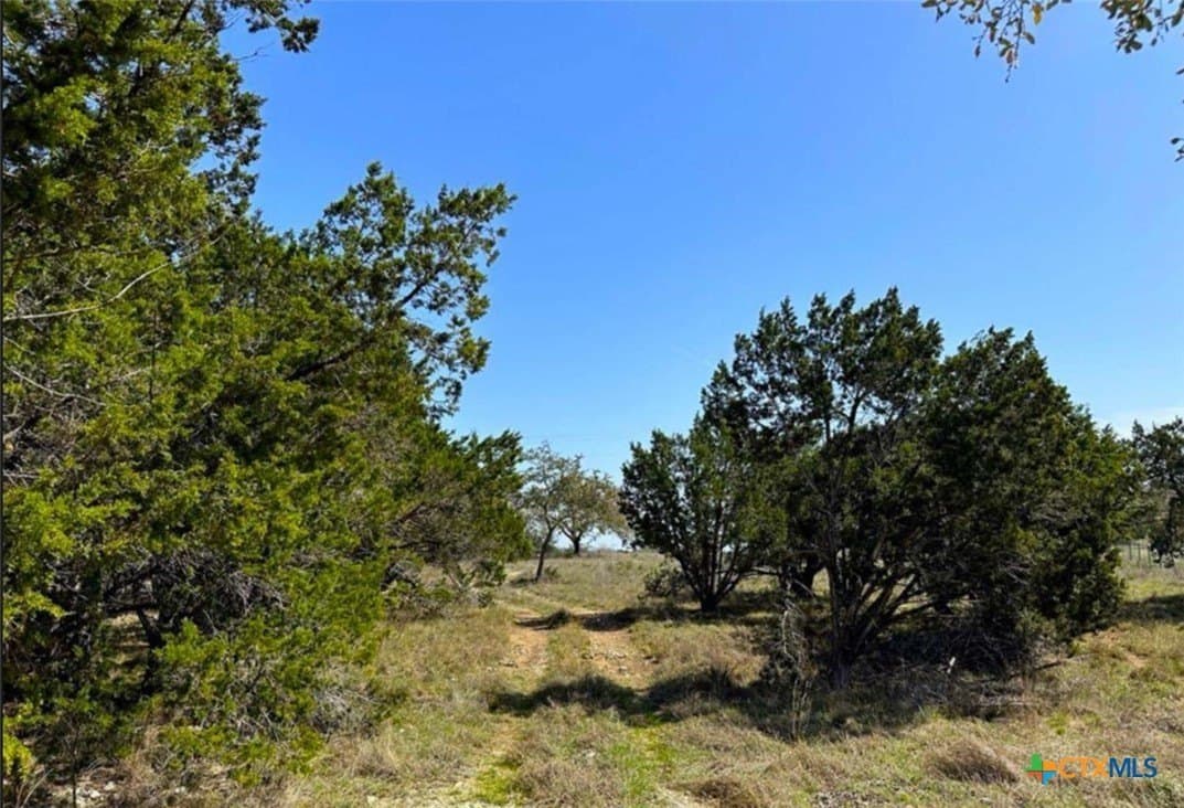 6.61 acres in Comal County - photo 3