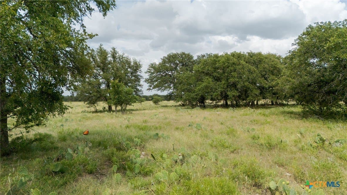 7.75 acres in Burnet County - photo 8