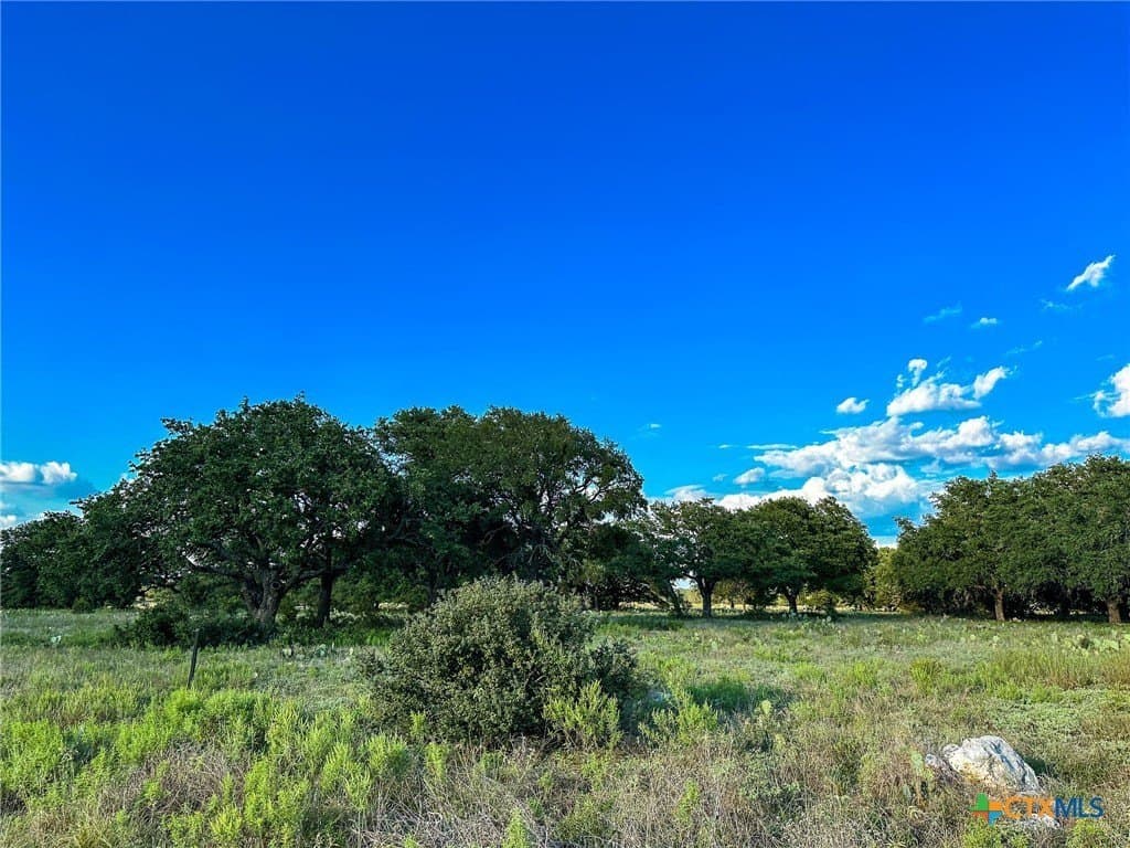 7.75 acres in Burnet County - photo 26