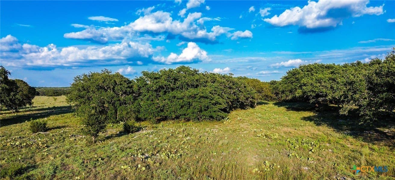 7.75 acres in Burnet County - photo 18