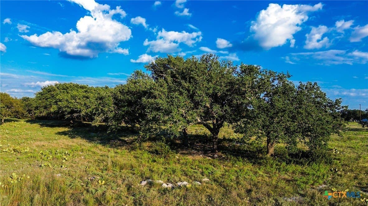 7.75 acres in Burnet County - photo 15