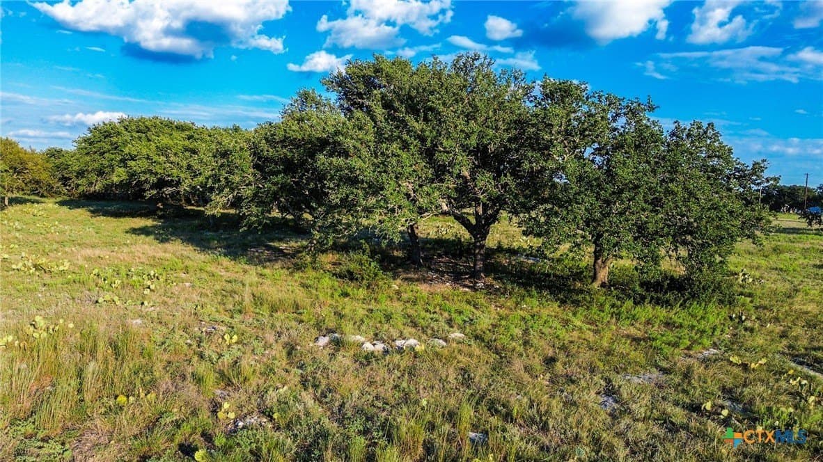 7.75 acres in Burnet County - photo 17