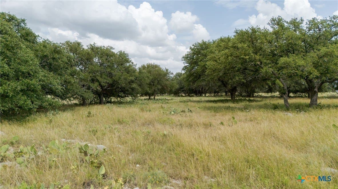 7.75 acres in Burnet County - photo 7