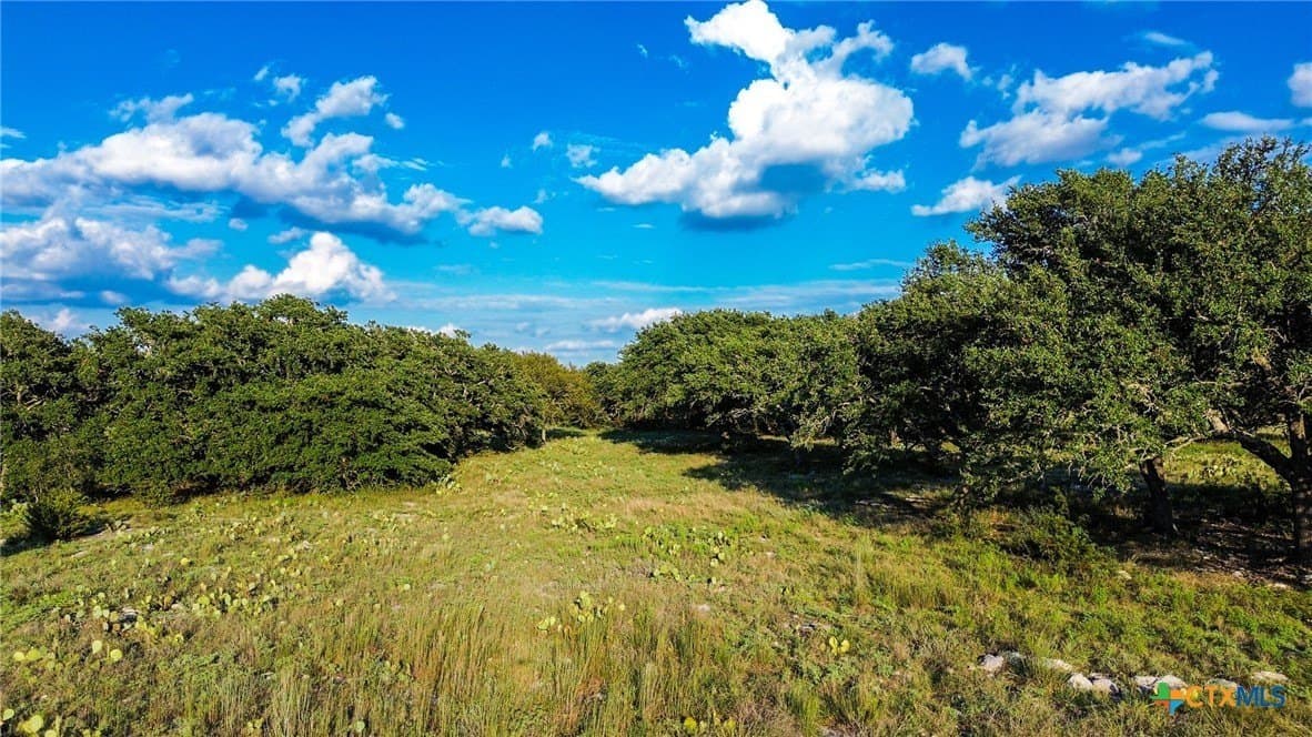 7.75 acres in Burnet County - photo 16