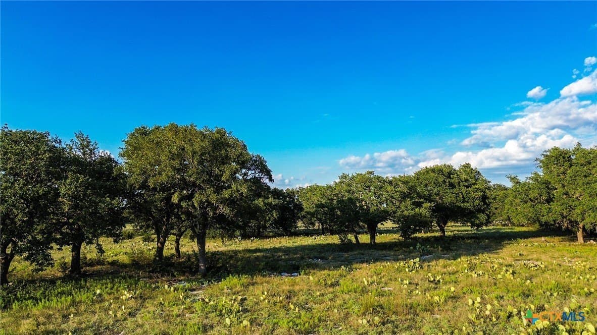7.75 acres in Burnet County - photo 27