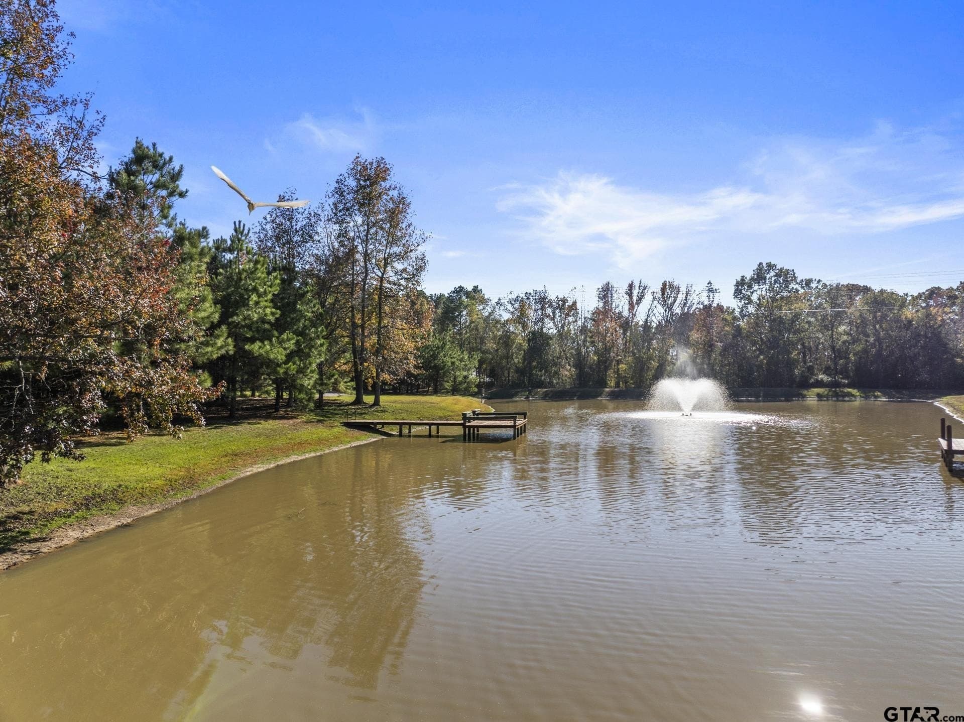 46.15 acres in Titus County - photo 39