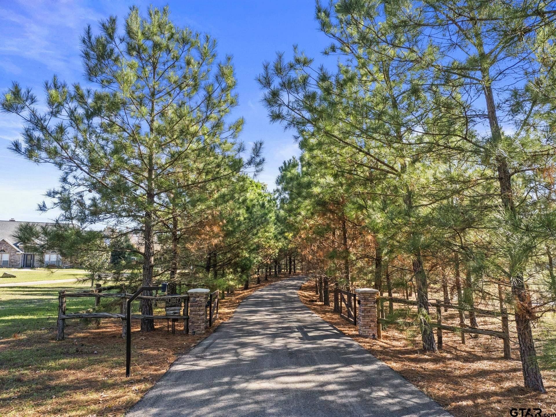 46.15 acres in Titus County - photo 2