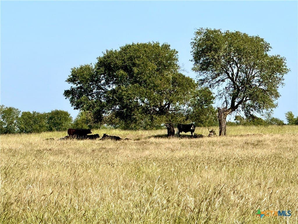 140 acres in McLennan County - photo 27