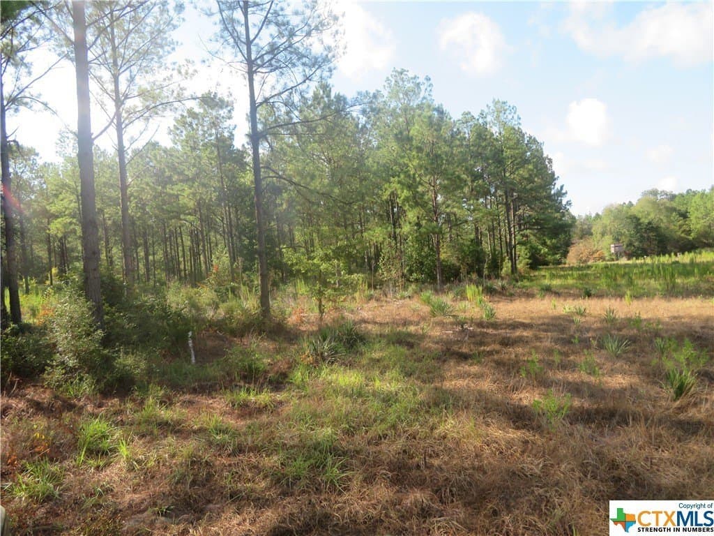 156.59 acres in Newton County - photo 3
