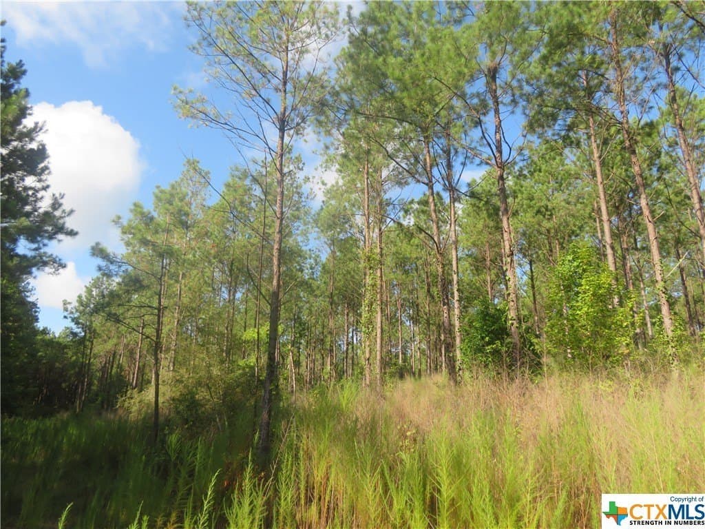 156.59 acres in Newton County - photo 5