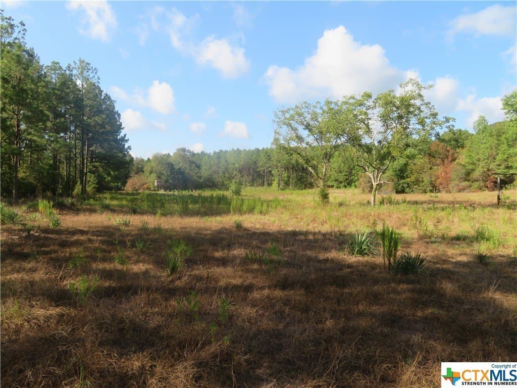 156.59 acres in Newton County - photo 2