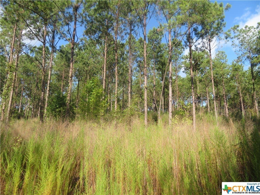 156.59 acres in Newton County - photo 4