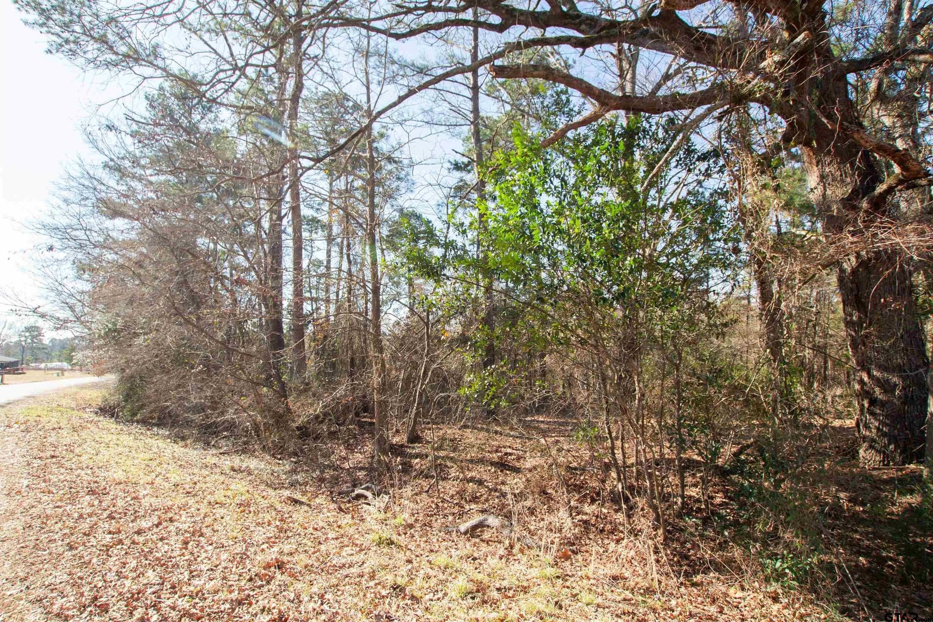 1.6 acres in Van Zandt County - photo 5