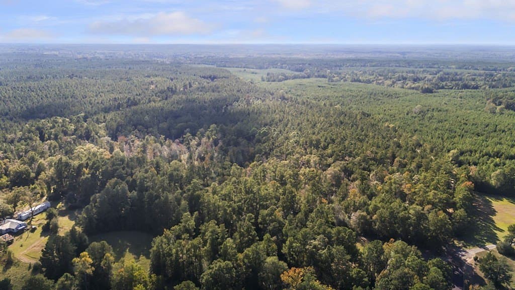 25.33 acres in Texas County - photo 6