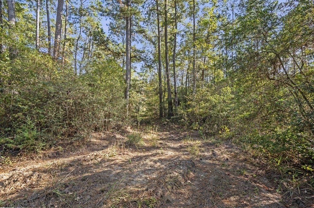 25.33 acres in Texas County - photo 2