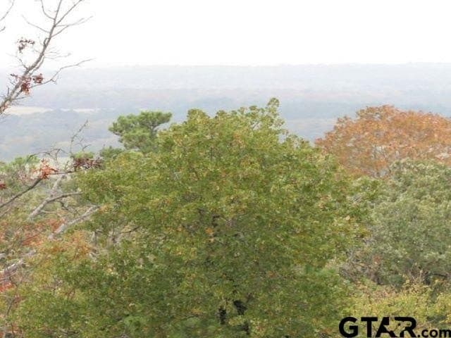 0.9 acres in Anderson County - photo 5