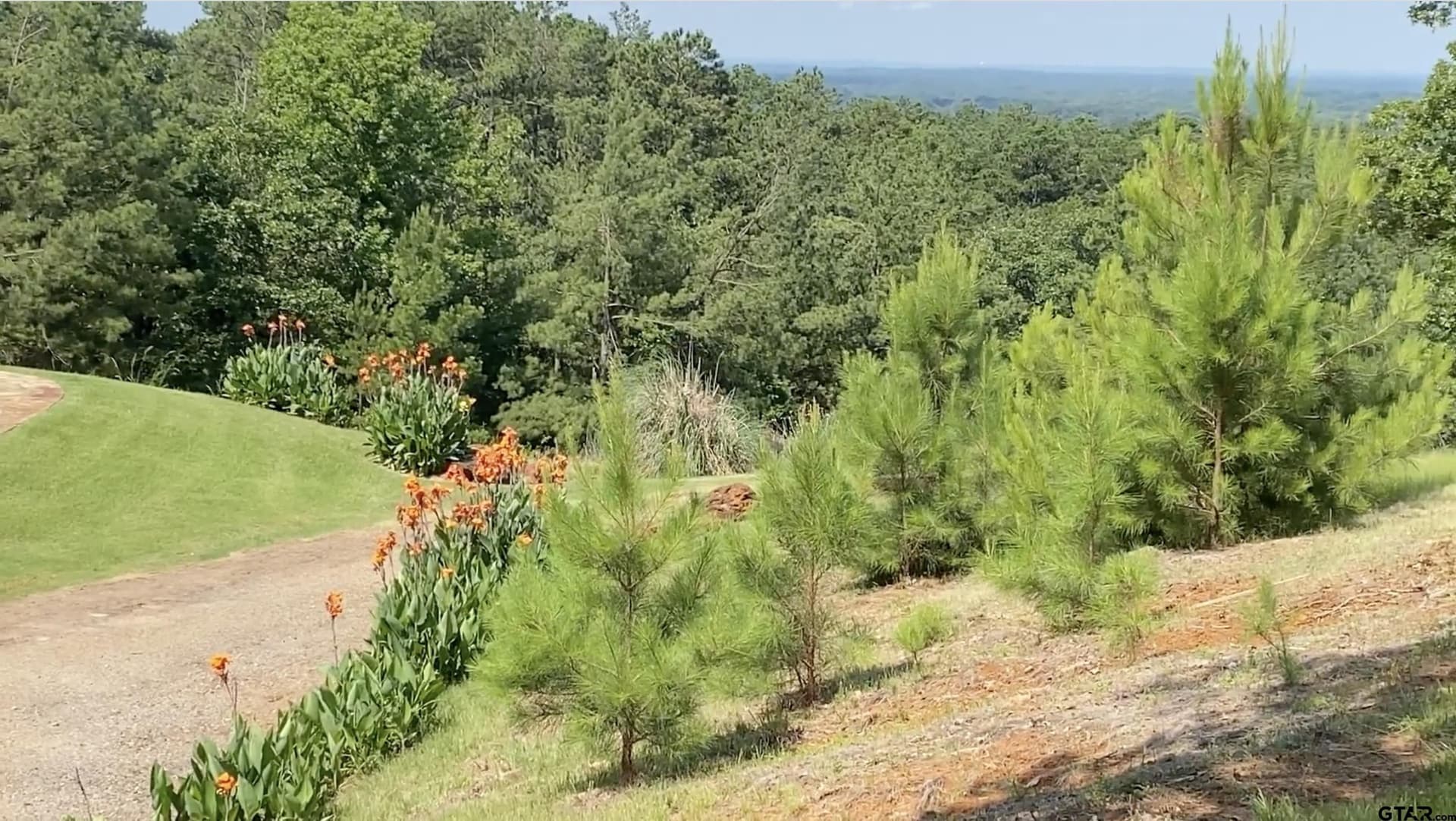 0.9 acres in Anderson County - photo 7