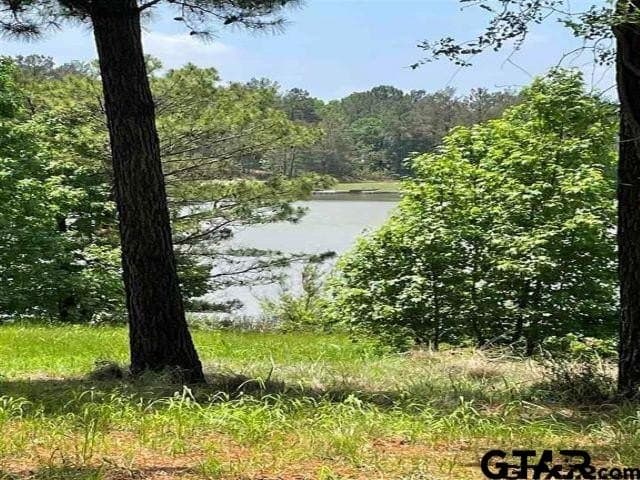 0.9 acres in Anderson County - photo 19
