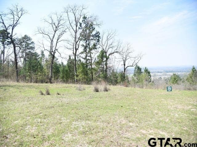 0.9 acres in Anderson County - photo 4