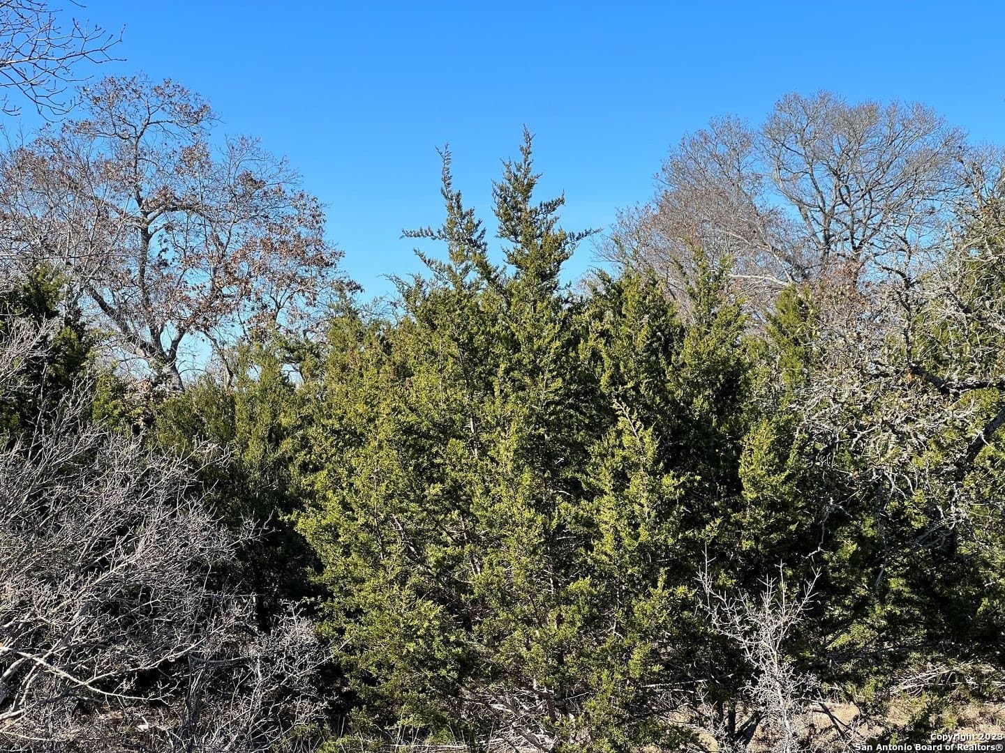8.66 acres in Kendall County - photo 4