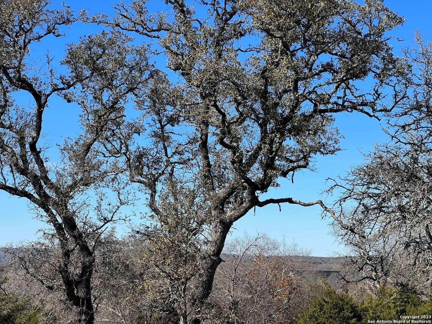 8.66 acres in Kendall County - photo 3