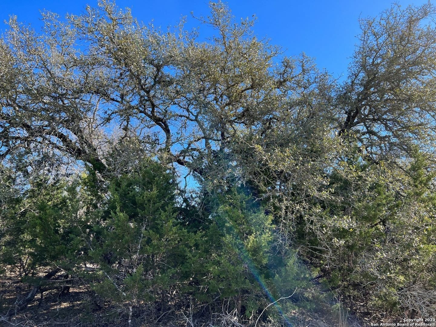 8.66 acres in Kendall County - photo 15