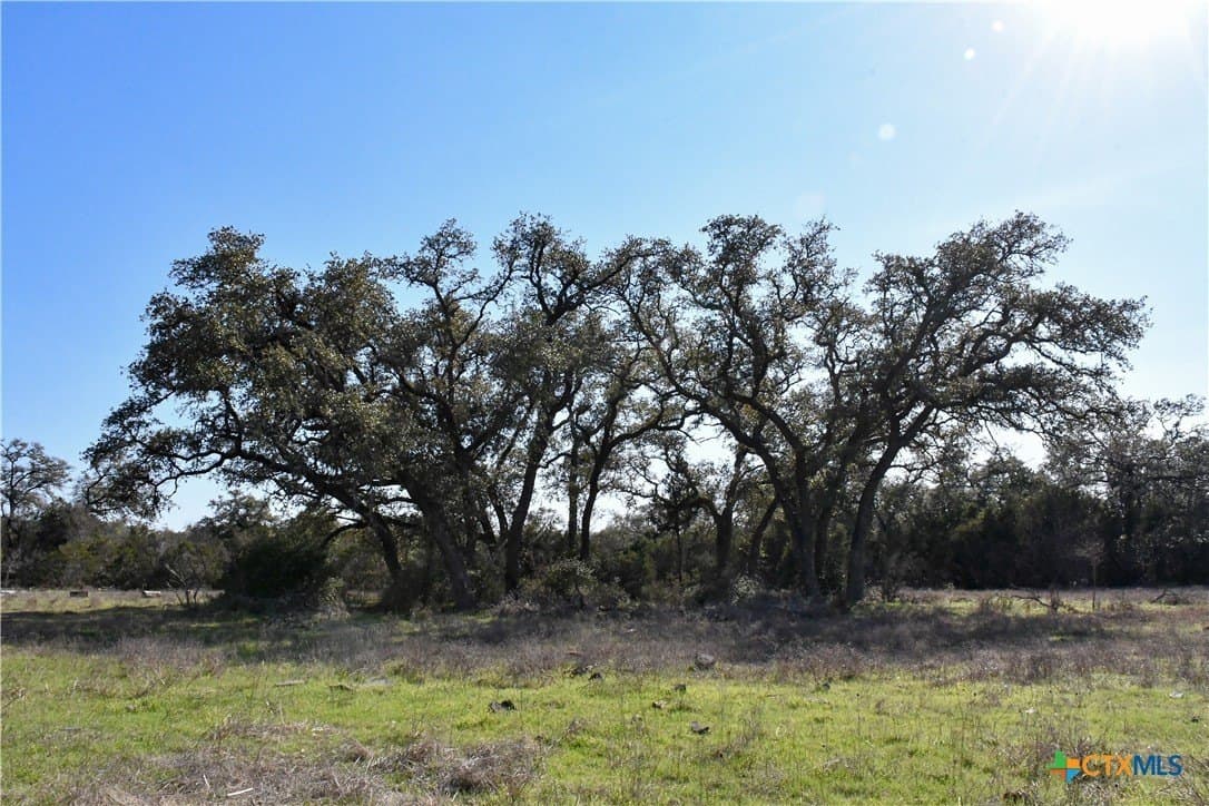 10.91 acres in Comal County - photo 4