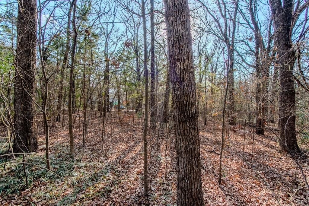 0.11 acres in Henderson County - photo 5