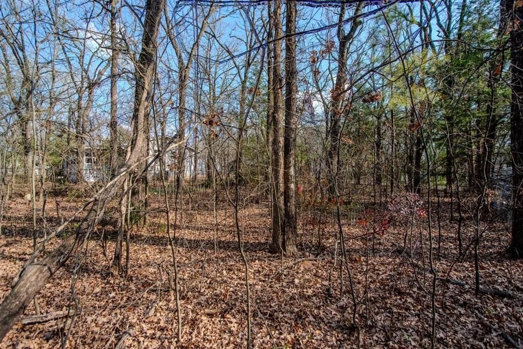0.11 acres in Henderson County - photo 3