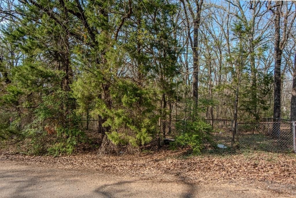 0.11 acres in Henderson County - photo 2
