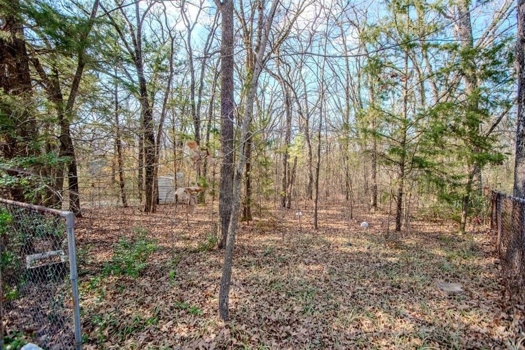 0.11 acres in Henderson County - photo 4