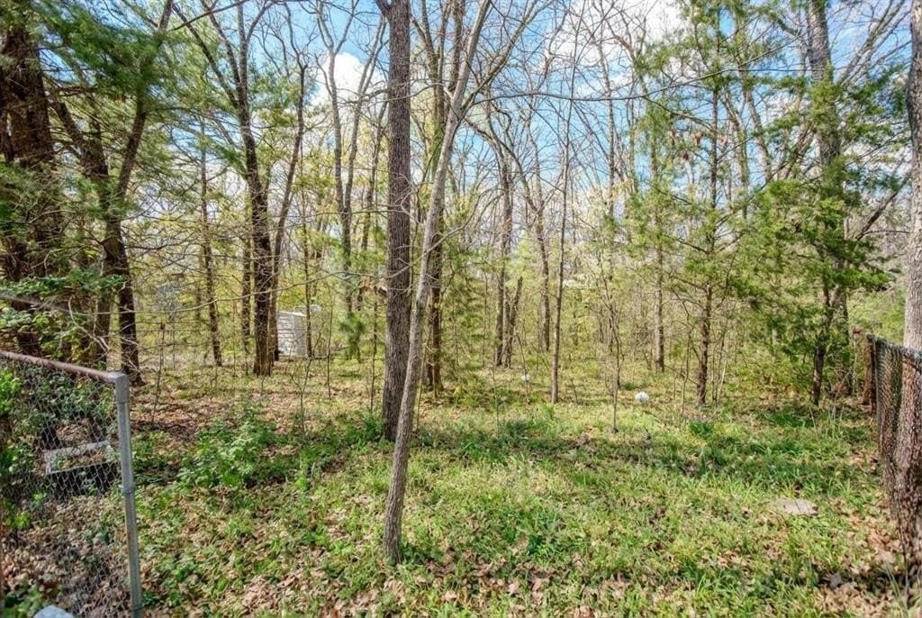 0.11 acres in Henderson County - photo 6