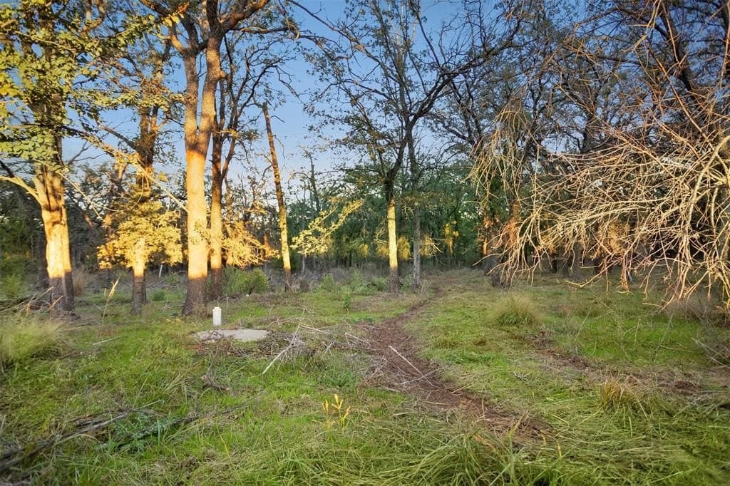 5 acres in Wise County - photo 2