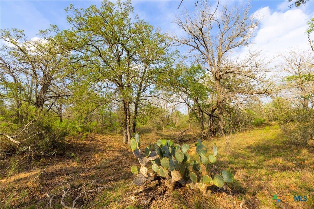 67 acres in Guadalupe County - photo 20
