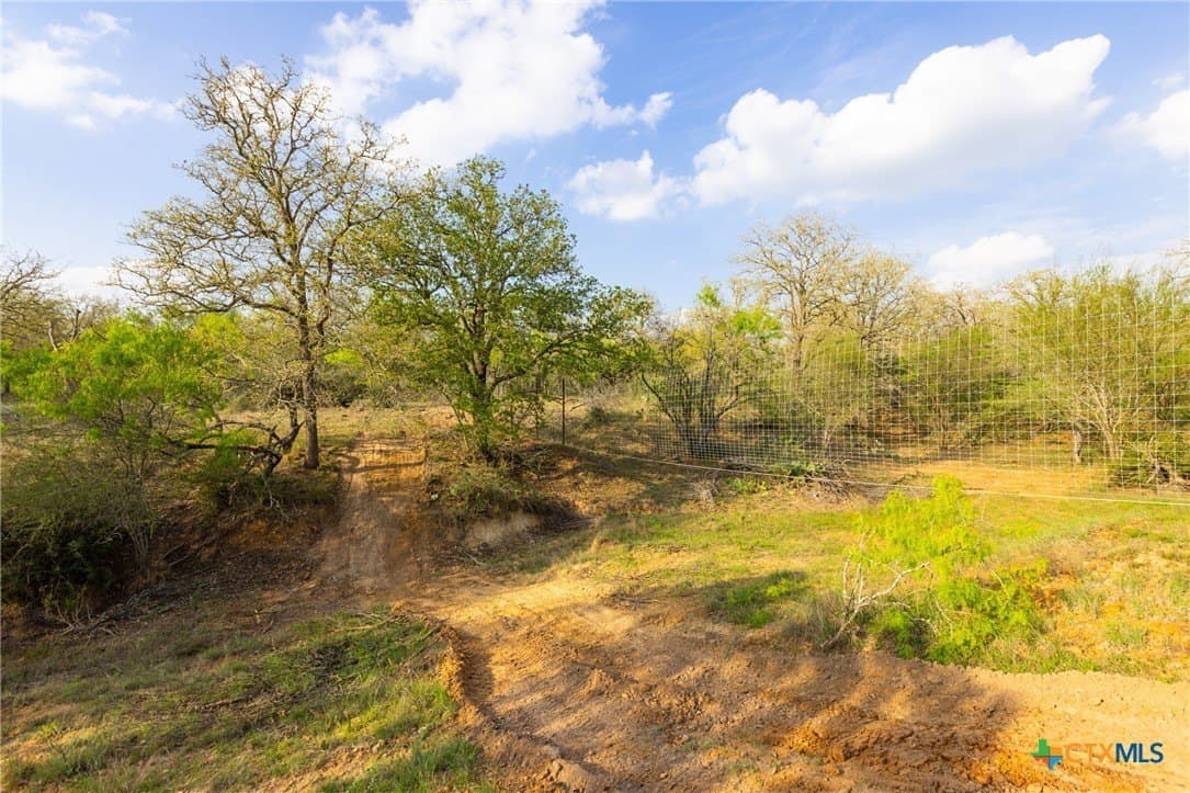 67 acres in Guadalupe County - photo 16