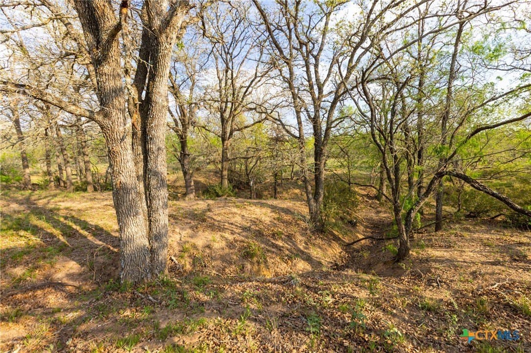 67 acres in Guadalupe County - photo 25