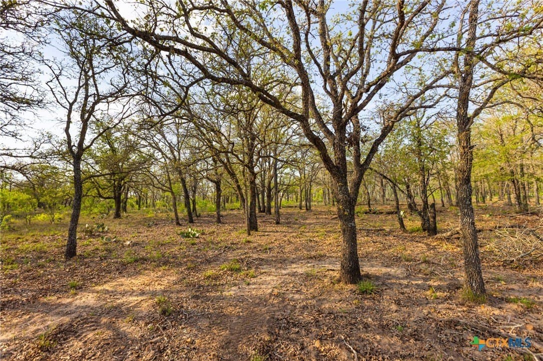 67 acres in Guadalupe County - photo 21
