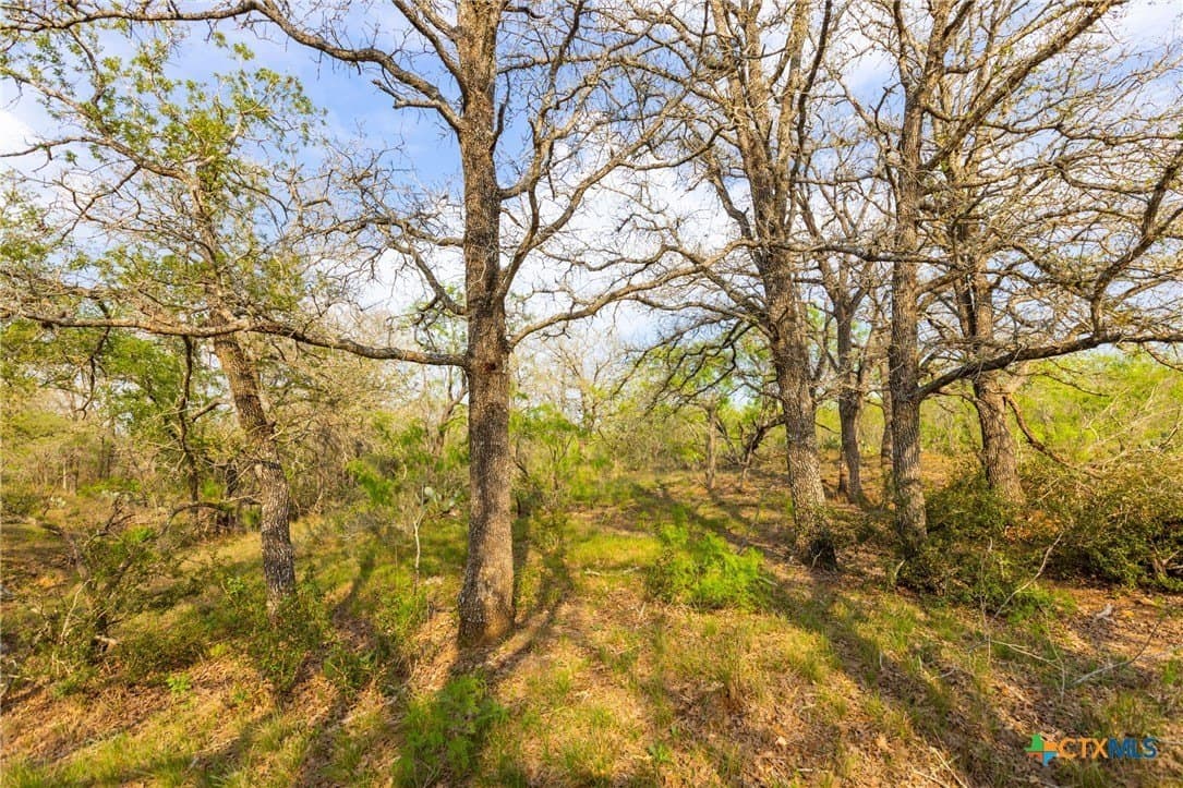 67 acres in Guadalupe County - photo 19