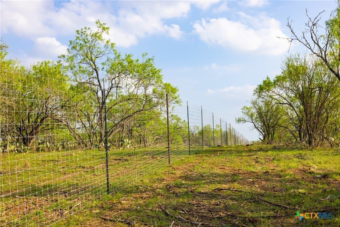 67 acres in Guadalupe County - photo 26