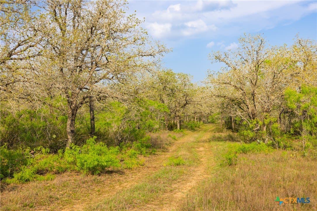 67 acres in Guadalupe County - photo 9