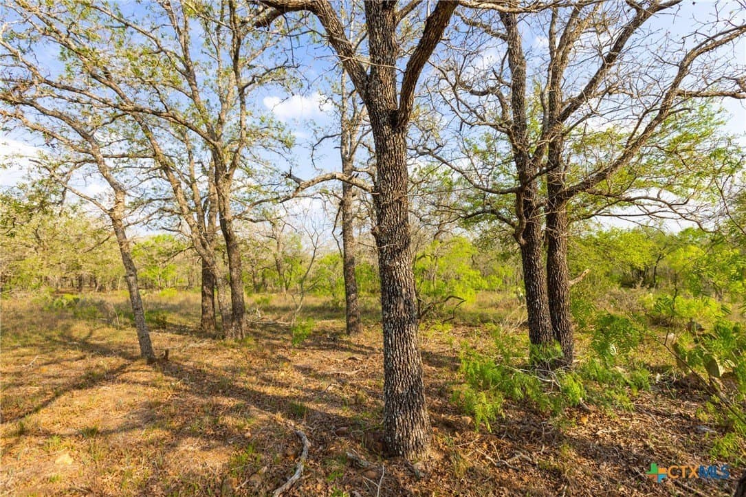 67 acres in Guadalupe County - photo 23