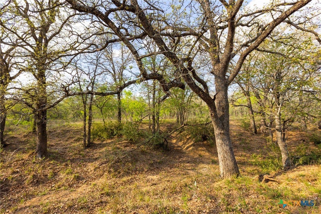 67 acres in Guadalupe County - photo 24