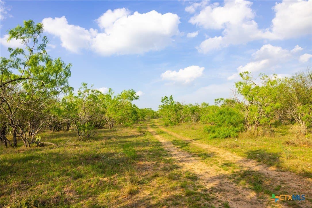 67 acres in Guadalupe County - photo 15