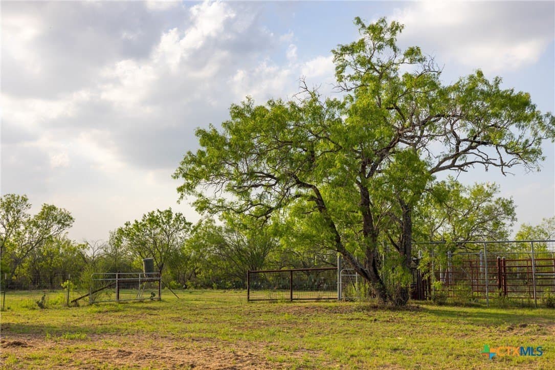 67 acres in Guadalupe County - photo 18